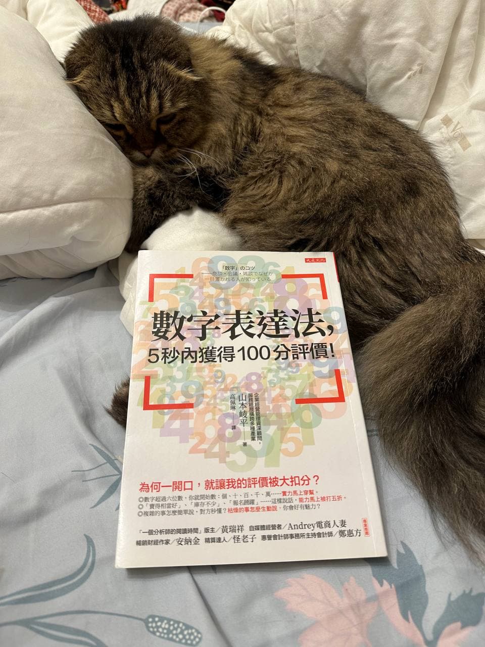 數字表達法，五秒內獲得100分評價！