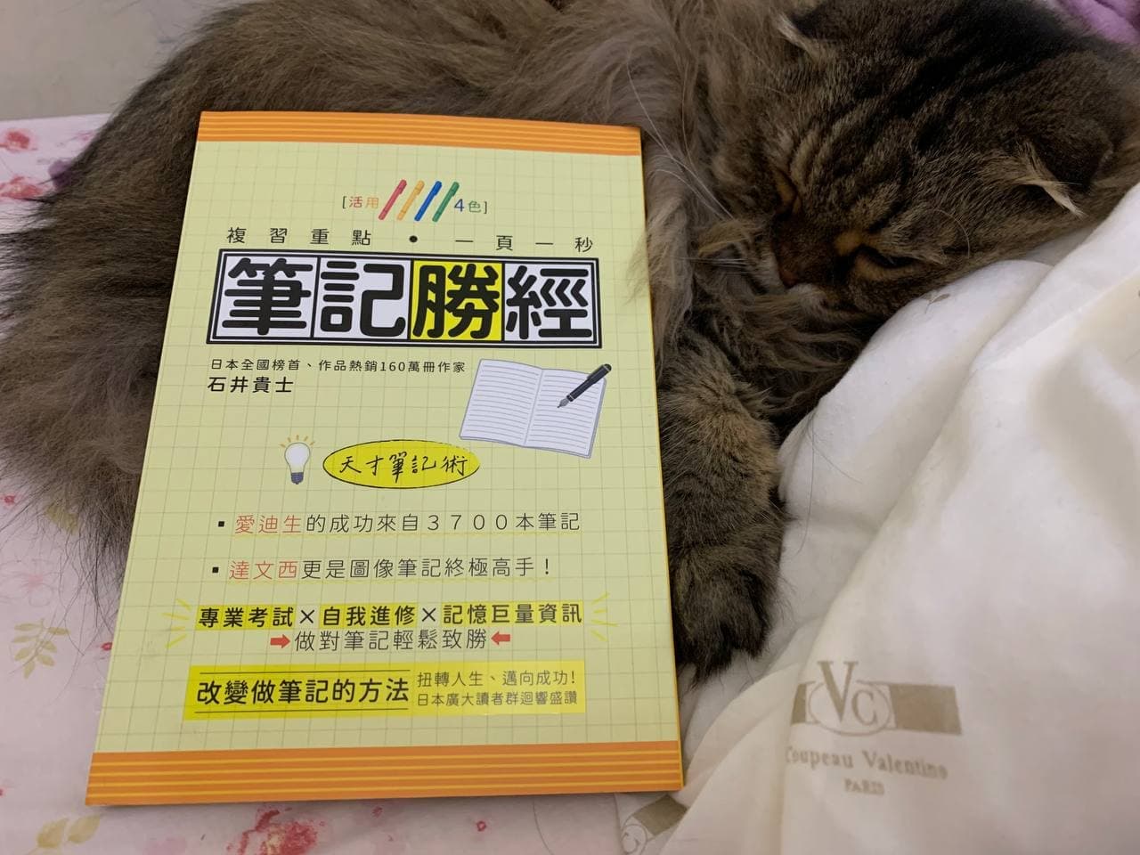 筆記勝經－石井貴士