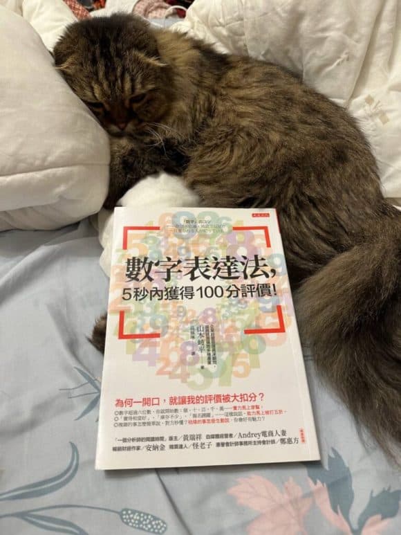 數字表達法，五秒內獲得100分評價！