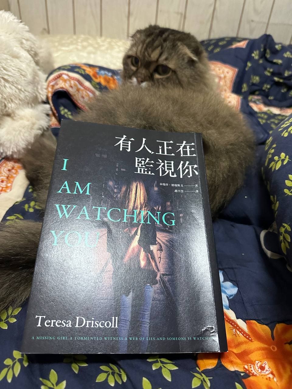 有人正在監視你