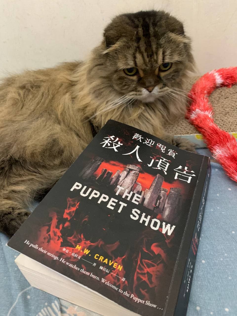 歡迎觀賞殺人預告