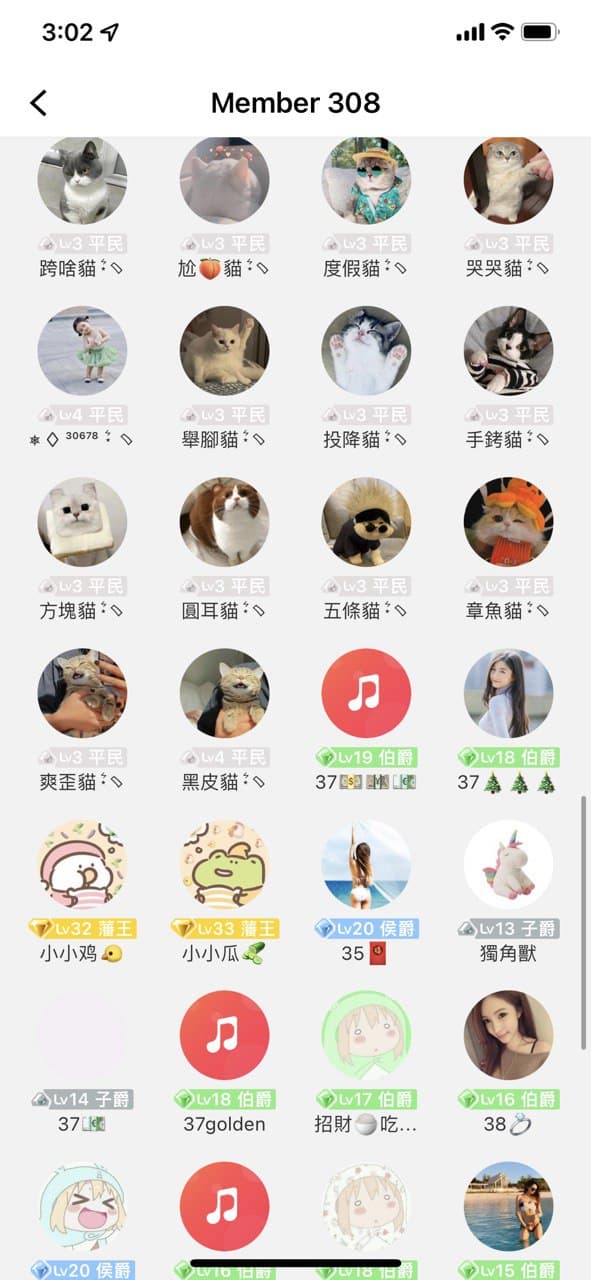 一堆可愛的貓貓